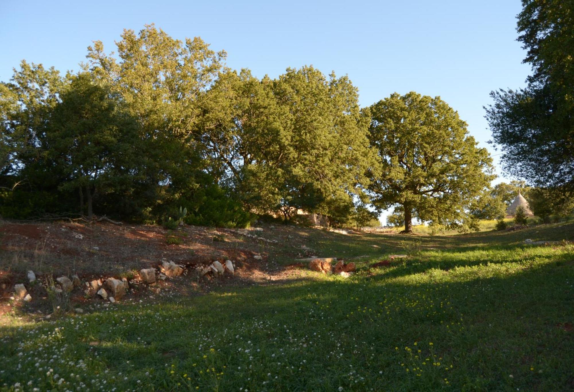 Maison d'hôtes Par Tot à Locorotondo Extérieur photo