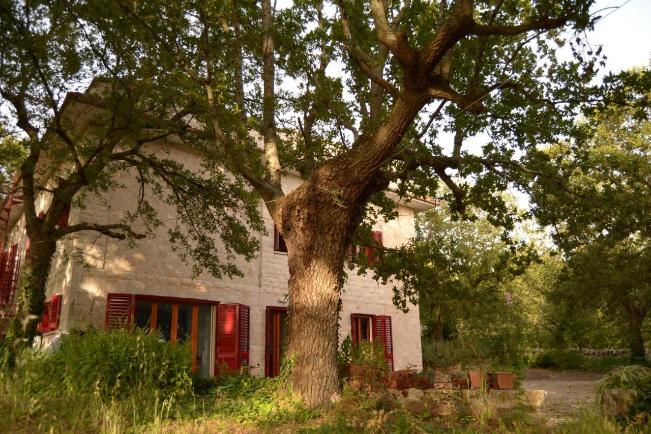 Maison d'hôtes Par Tot à Locorotondo Extérieur photo